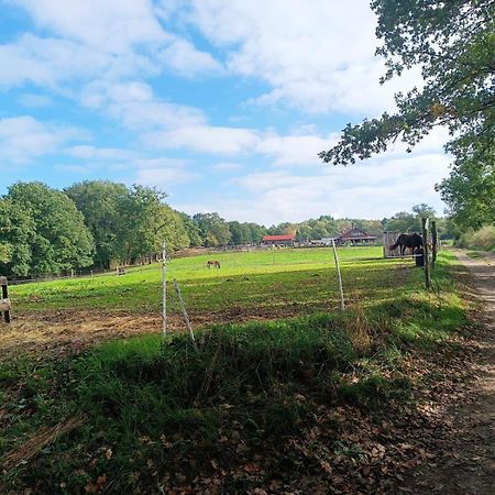 Cap Nature - T3 Et T4 En Perigord Vert - Ideal Pros Et Groupes Max 18P Champniers-et-Reilhac Exterior photo