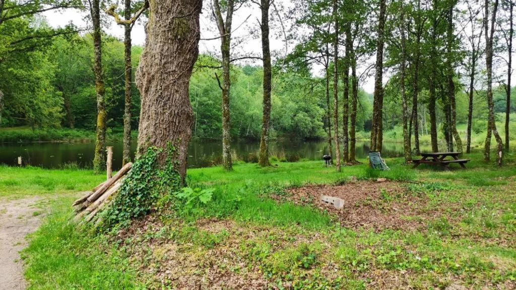 Cap Nature - T3 Et T4 En Perigord Vert - Ideal Pros Et Groupes Max 18P Champniers-et-Reilhac Exterior photo