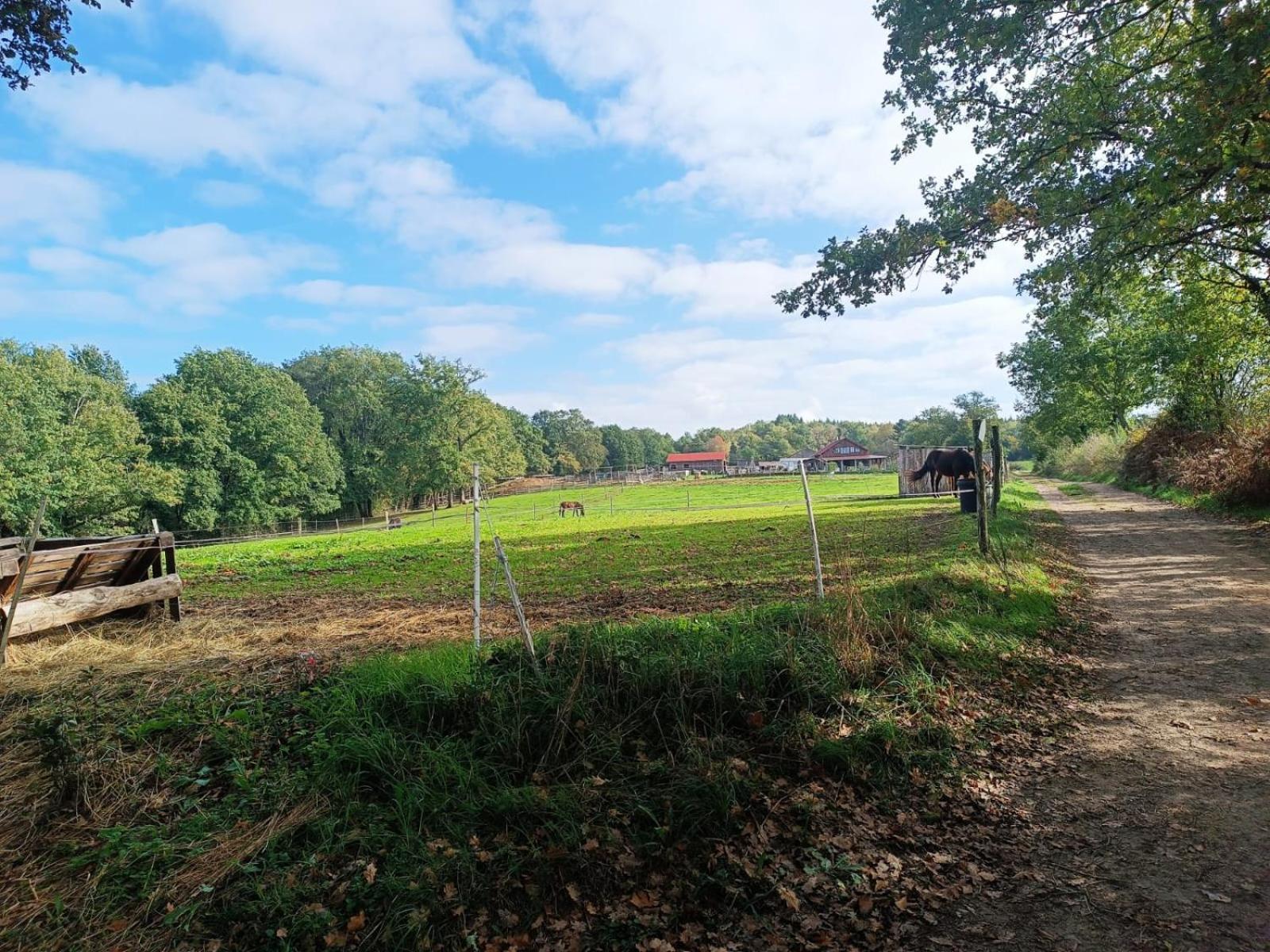 Cap Nature - T3 Et T4 En Perigord Vert - Ideal Pros Et Groupes Max 18P Champniers-et-Reilhac Exterior photo