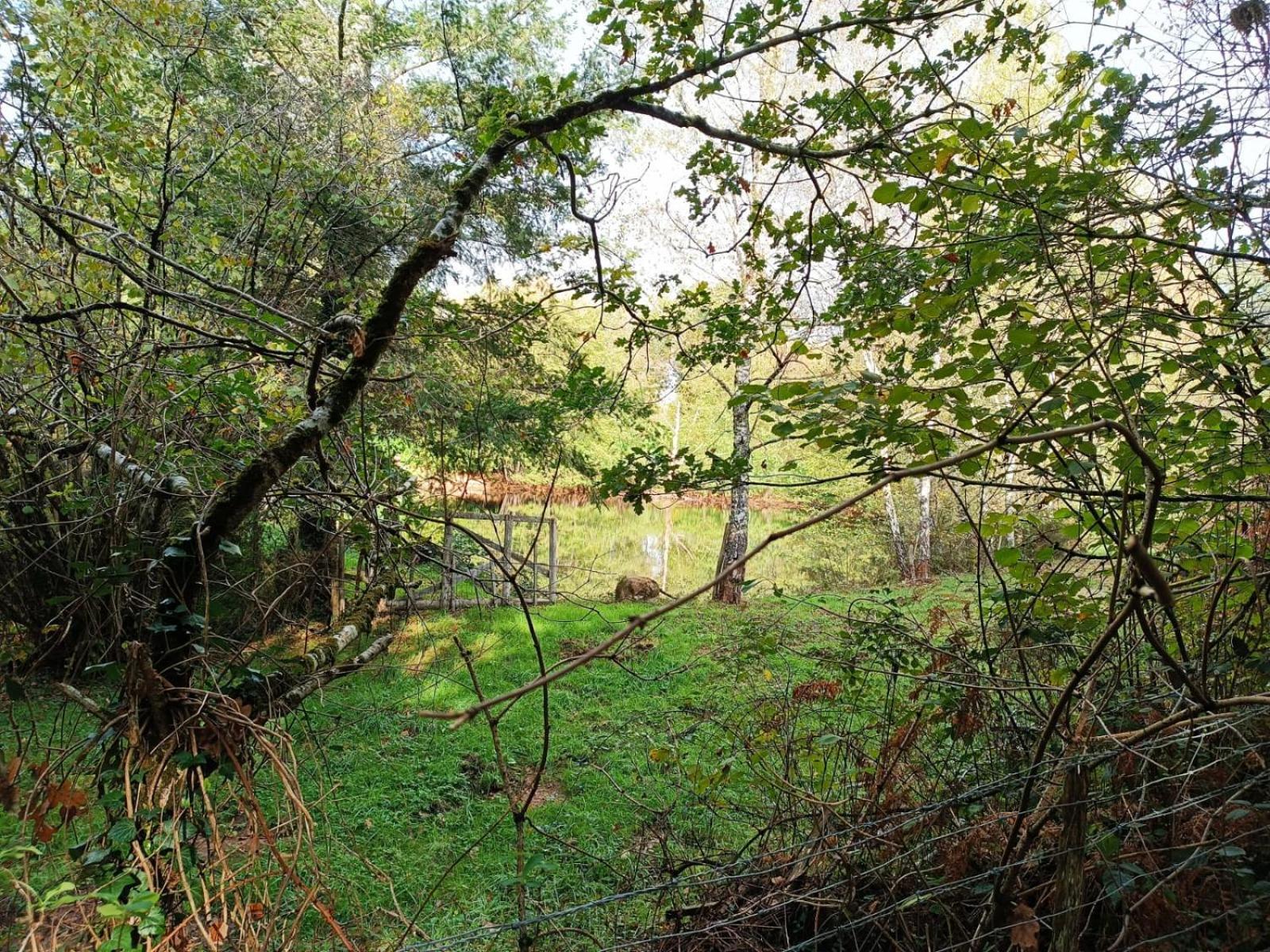 Cap Nature - T3 Et T4 En Perigord Vert - Ideal Pros Et Groupes Max 18P Champniers-et-Reilhac Exterior photo