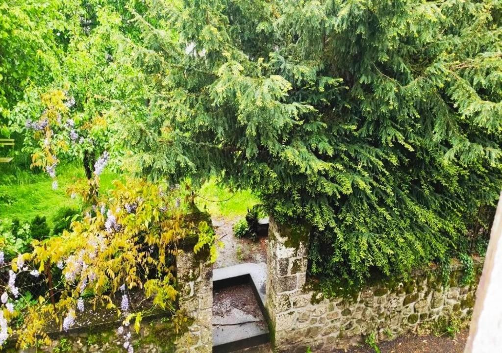 Cap Nature - T3 Et T4 En Perigord Vert - Ideal Pros Et Groupes Max 18P Champniers-et-Reilhac Exterior photo